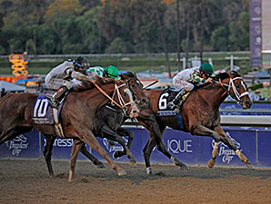 Stevens, Mucho Macho Man Capture BC Classic Stevens, Mucho Macho Man Capture BC Classic