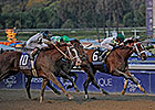 Stevens, Mucho Macho Man Capture BC Classic Stevens, Mucho Macho Man Capture BC Classic