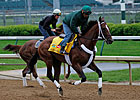 Ky. Derby Trail: Macho Man Was Born to Run Ky. Derby Trail: Macho Man Was Born to Run