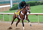 Haskin's Preakness Report Haskin's Preakness Report