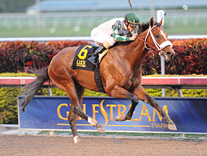 Mucho Macho Man Headed to Sunshine Millions