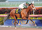 Mucho Macho Man to Begin Year in 'Millions'