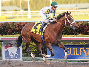Mucho Macho Man Works at Gulfstream Park Mucho Macho Man Works at Gulfstream Park