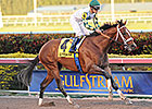 Mucho Macho Man Rolls in Sunshine Millions Mucho Macho Man Rolls in Sunshine Millions