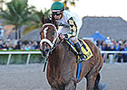 Mucho Macho Man Florida's Horse of the Year Mucho Macho Man Florida's Horse of the Year