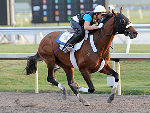 Mucho Macho Man Picks Up Pace for 2014 Debut Mucho Macho Man Picks Up Pace for 2014 Debut