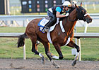 Mucho Macho Man Picks Up Pace for 2014 Debut