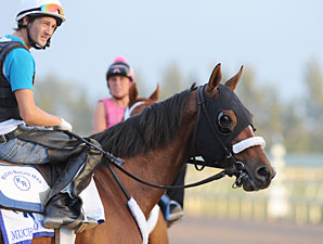 Mucho Macho Man Exercises at Gulfstream Mucho Macho Man Exercises at Gulfstream