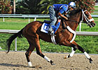 Louisiana Derby - Predict the Order of Finish Louisiana Derby - Predict the Order of Finish