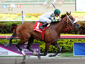 Eighth Pole Key for Mucho Macho Man Eighth Pole Key for Mucho Macho Man