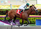 Eighth Pole Key for Mucho Macho Man Eighth Pole Key for Mucho Macho Man