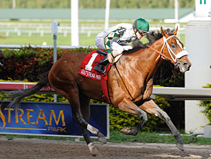Mucho Macho Man Seeking Triumphant Return Mucho Macho Man Seeking Triumphant Return