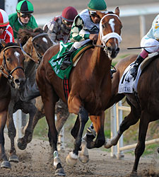 Mucho Macho Man a Gift of the Heart Mucho Macho Man a Gift of the Heart