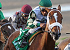 Mucho Macho Man a Gift of the Heart          