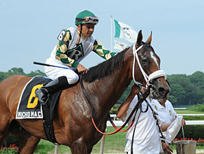 Mucho Macho Man Honors Holy Bull Mucho Macho Man Honors Holy Bull