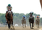 Mucho Macho Man Sizzles in Suburban