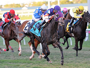 Mucho Mas Macho Upsets Ft. Lauderdale
