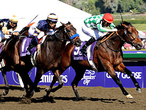 Distance Added to Breeders' Cup Marathon Distance Added to Breeders' Cup Marathon