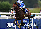 Mukhadram to Shadwell Stud; 2015 Fees Set Mukhadram to Shadwell Stud; 2015 Fees Set