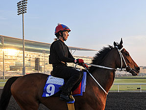 Watch Dubai Races Live on BloodHorse.com Watch Dubai Races Live on BloodHorse.com