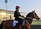 Watch Dubai Races Live on BloodHorse.com Watch Dubai Races Live on BloodHorse.com
