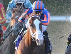Munnings Lukewarm Juvenile Favorite Munnings Lukewarm Juvenile Favorite