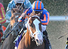 Munnings Lukewarm Juvenile Favorite