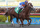 Five Graded Winners Contest Salvator Mile