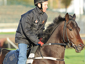 Murjan is the Canonero II of 2010 Murjan is the Canonero II of 2010