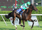 Mushka Victorious in Glen Falls Handicap