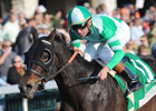 Grade I Winner Mushka Retired Grade I Winner Mushka Retired