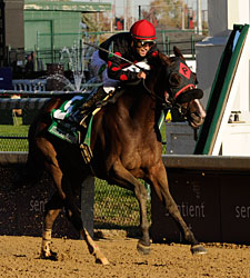 Musical Romance Upset Winner of F&M Sprint Musical Romance Upset Winner of F&M Sprint