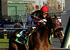 Musical Romance Upset Winner of F&M Sprint