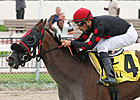 Champ Musical Romance Wins at Calder Champ Musical Romance Wins at Calder