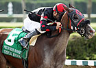 Musical Romance Continues Working Toward Cup Musical Romance Continues Working Toward Cup