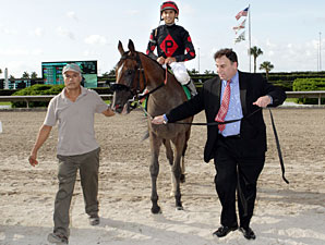 Musical Romance Consigned to F-T Nov. Sale Musical Romance Consigned to F-T Nov. Sale