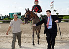 Musical Romance Consigned to F-T Nov. Sale Musical Romance Consigned to F-T Nov. Sale