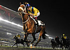 Musir Seeks Comeback Win in Zabeel Mile Musir Seeks Comeback Win in Zabeel Mile