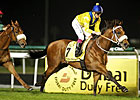 Musir Easy Winner of Al Rashidiya Musir Easy Winner of Al Rashidiya