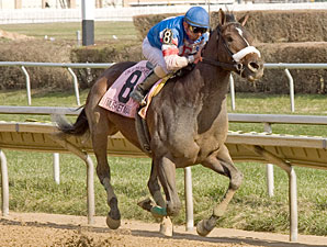 Musket Man Wins Illinois Derby Musket Man Wins Illinois Derby
