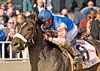 Countdown to the Cup: Musket Loaded Countdown to the Cup: Musket Loaded