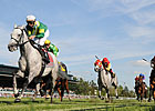 Musketier Repeats in Keeneland's Elkhorn