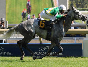 Musketier Fires His Best Shot in Singspiel Musketier Fires His Best Shot in Singspiel