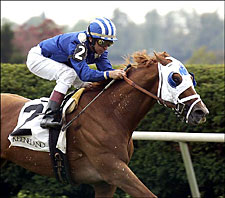 Mustanfar Dazzles Sycamore BC Turf Foes Mustanfar Dazzles Sycamore BC Turf Foes