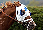 Mustanfar Retired to Shadwell