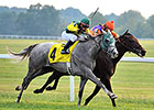 My Afleet Tops Medal Count at Kentucky Downs My Afleet Tops Medal Count at Kentucky Downs