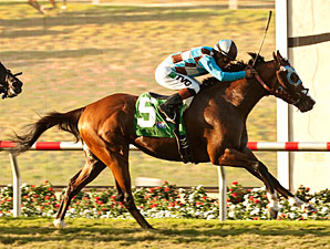My Best Brother Just Better in Del Mar Derby My Best Brother Just Better in Del Mar Derby