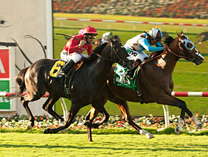 'Brother, 'Crooner Take Oceanside Divisions 'Brother, 'Crooner Take Oceanside Divisions