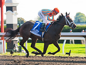 Juvenile Fillies Turf Looms Serious Scramble Juvenile Fillies Turf Looms Serious Scramble