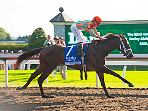 My Conquestadory's Dam to Fasig-Tipton Sale My Conquestadory's Dam to Fasig-Tipton Sale
